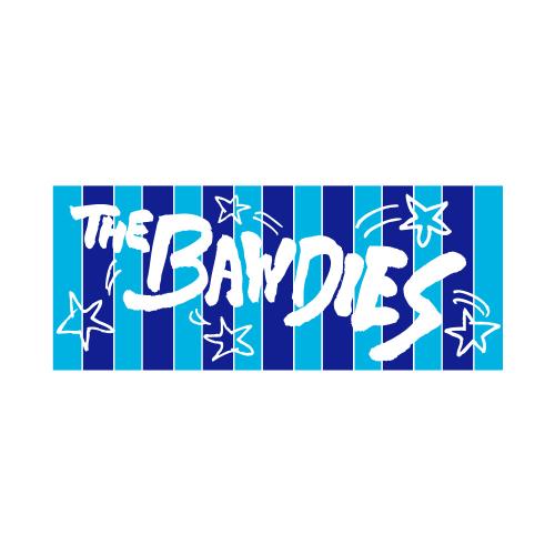 THIS IS THE PARTY FACE TOWEL