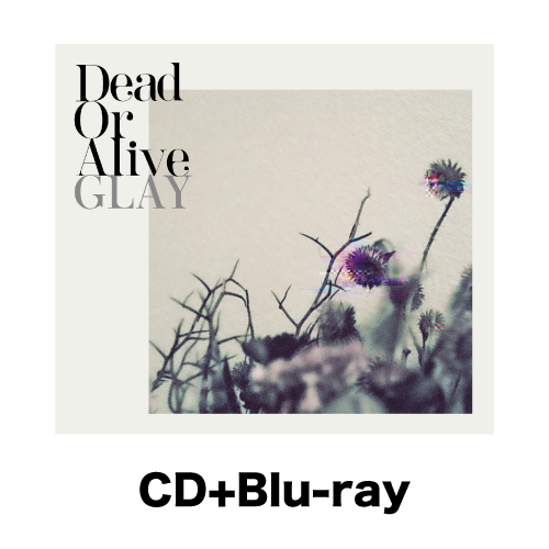 <CD+Blu-ray>『Dead Or Alive』