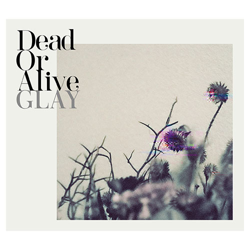 <MP3 ALBUM>『Dead Or Alive』