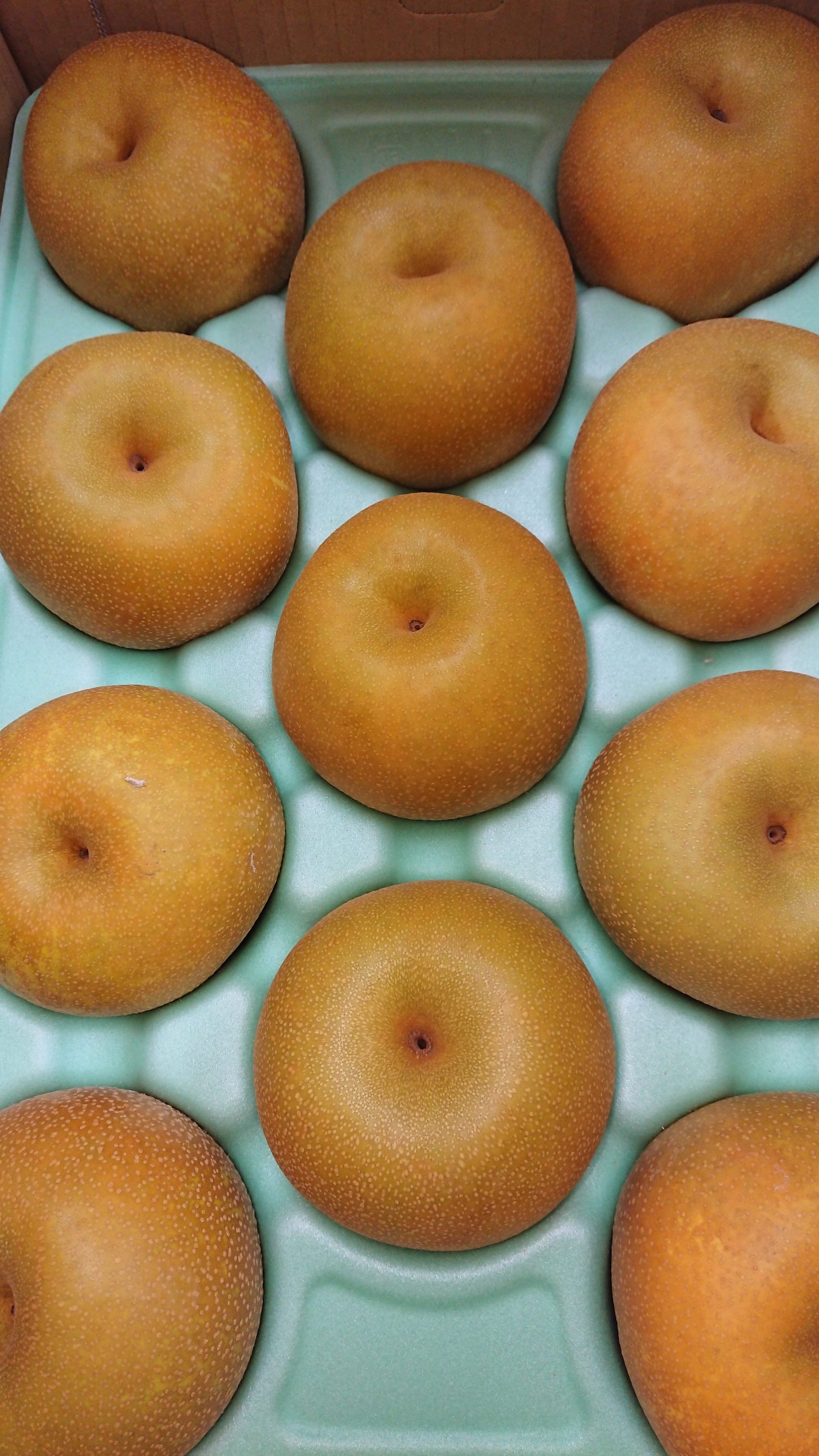 8月19日小山公演-2