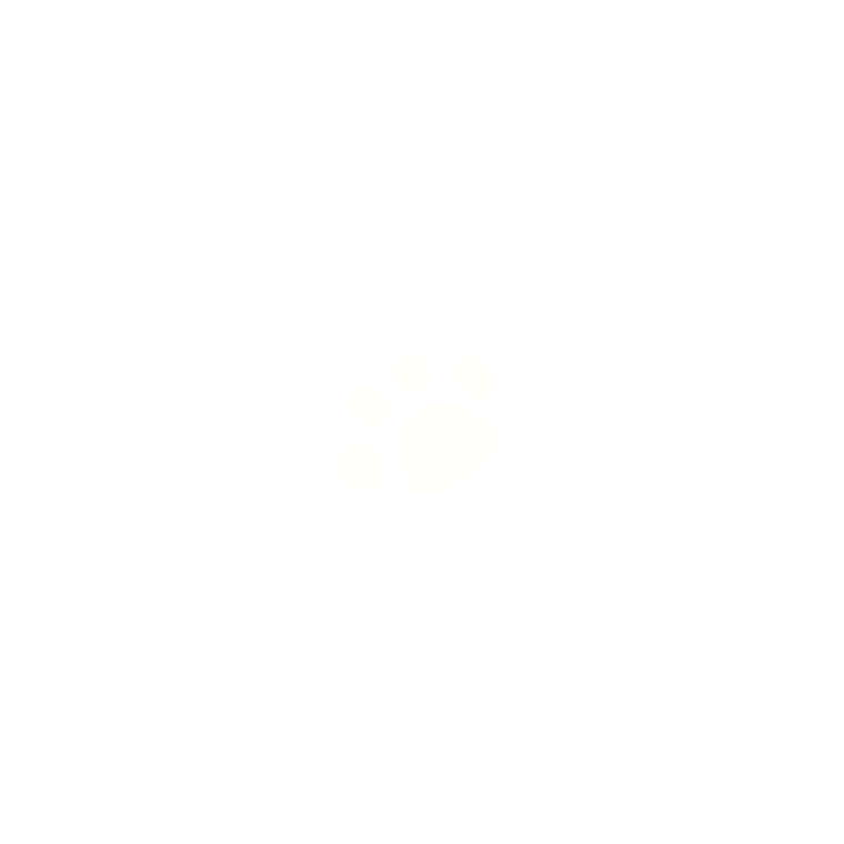 a03