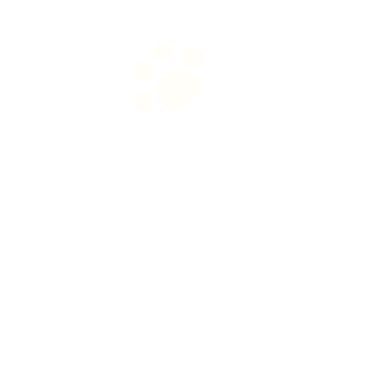a04