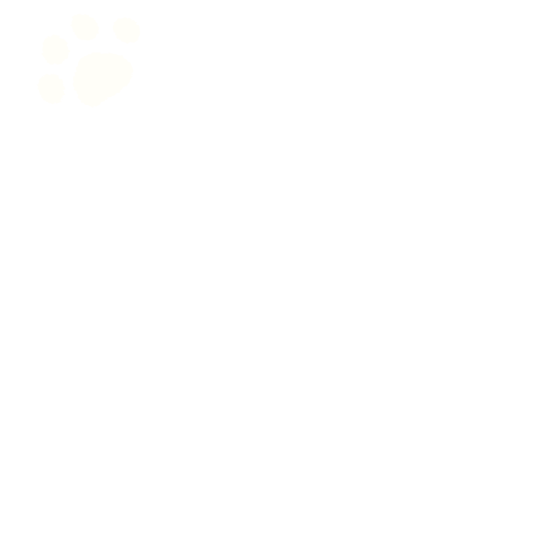 a05
