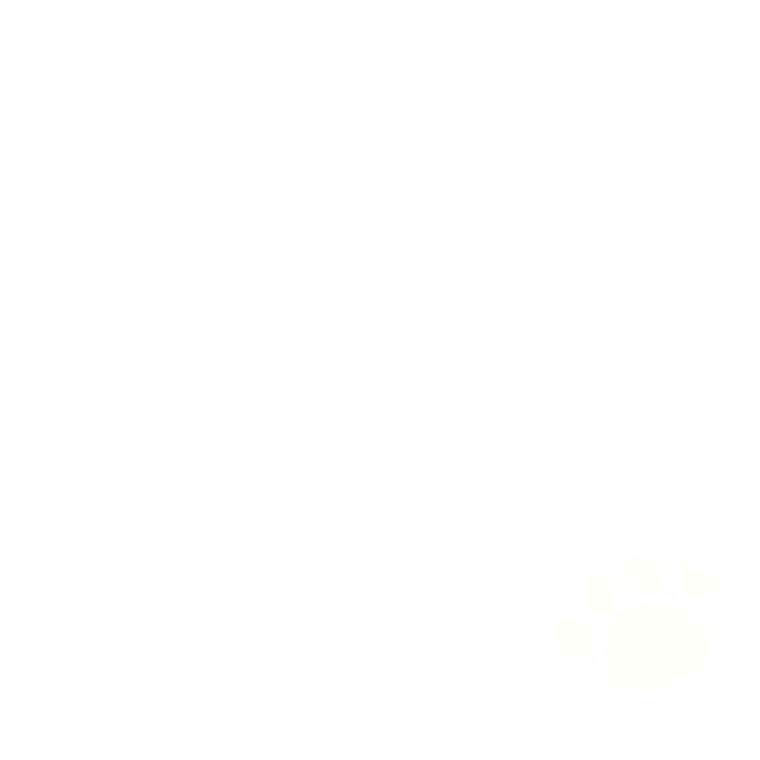 b01