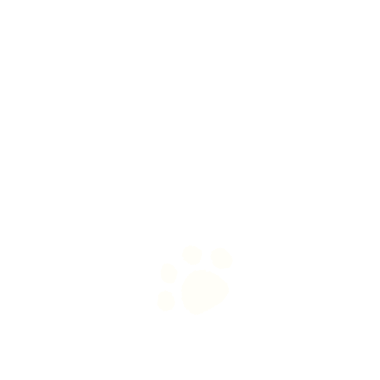 b02