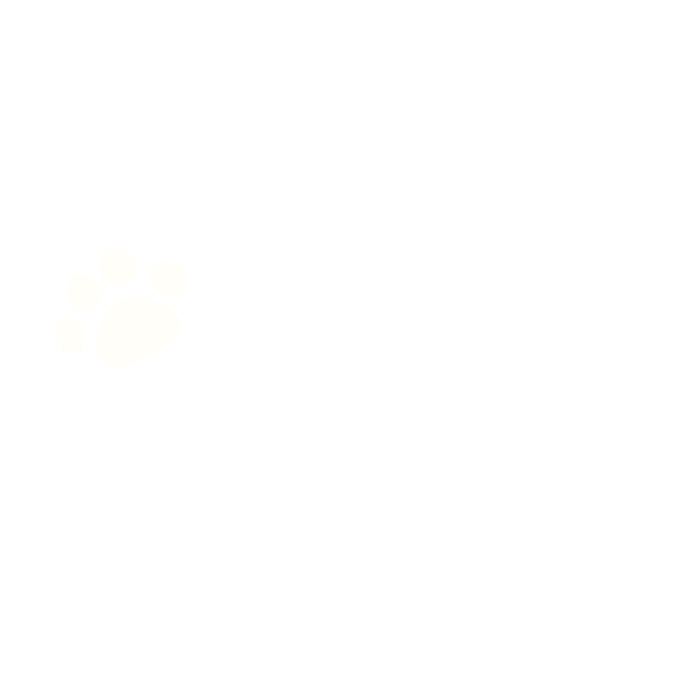 b04