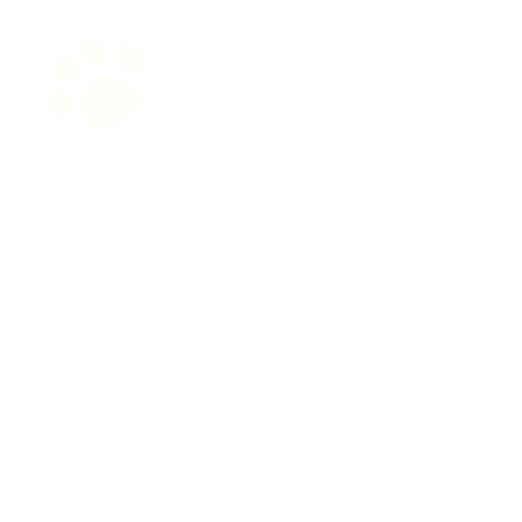 b05