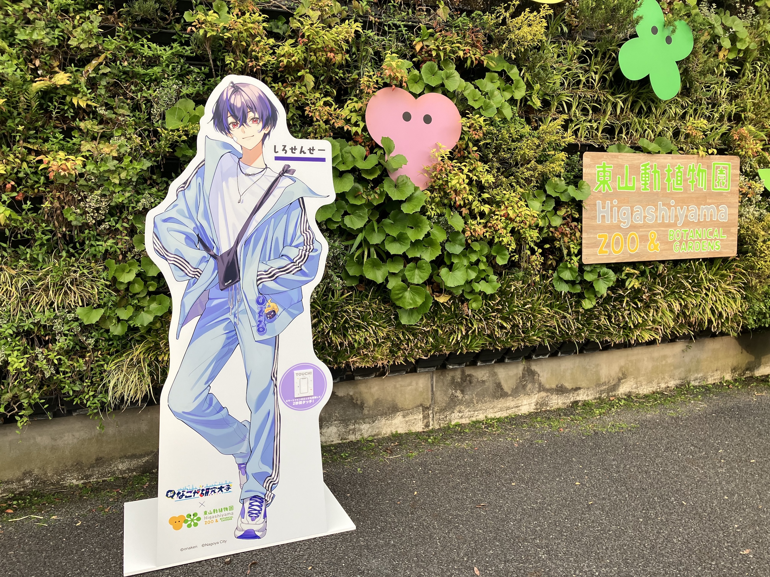 5 しろせんせー2
