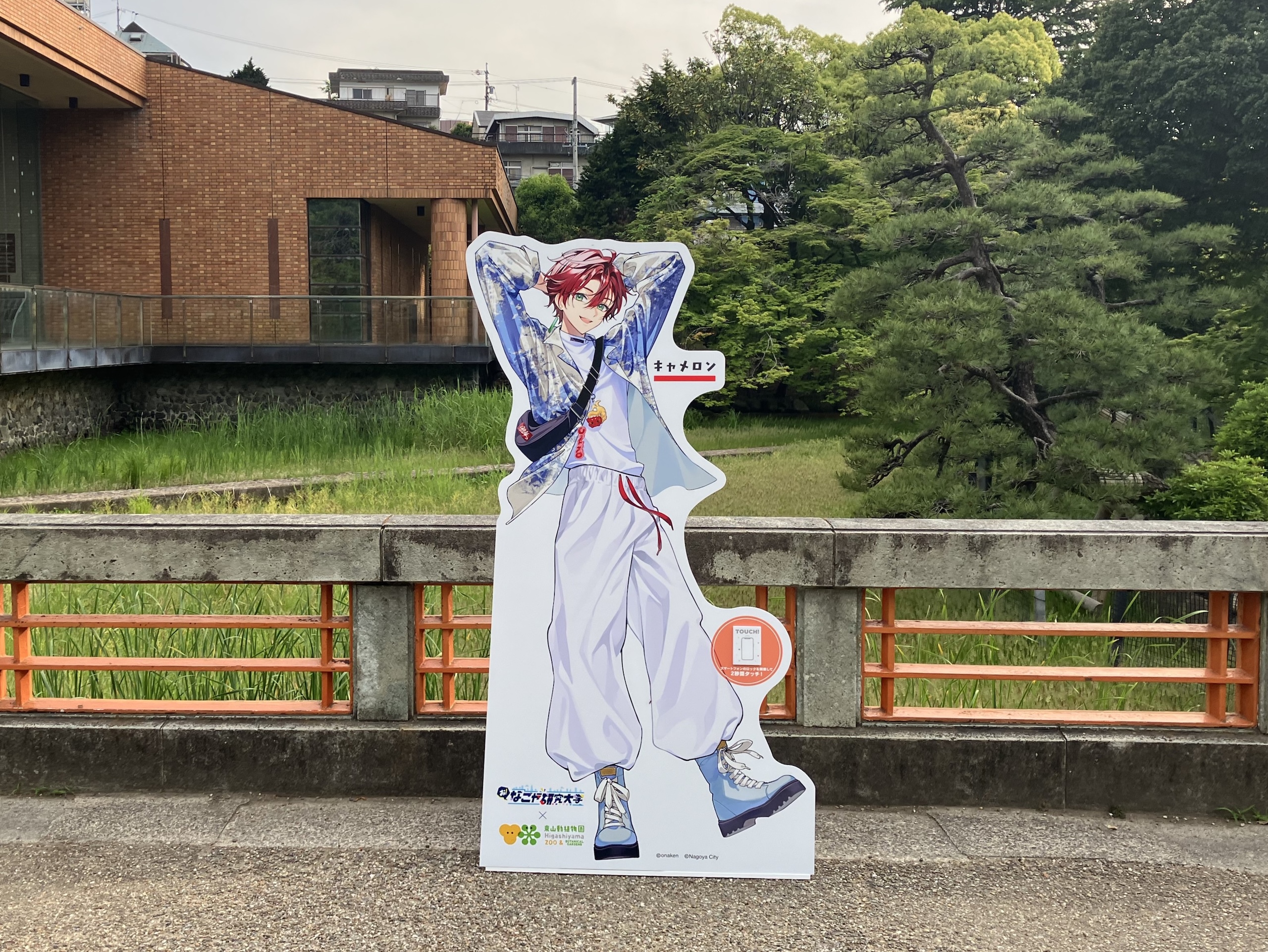 8 キャメロン5