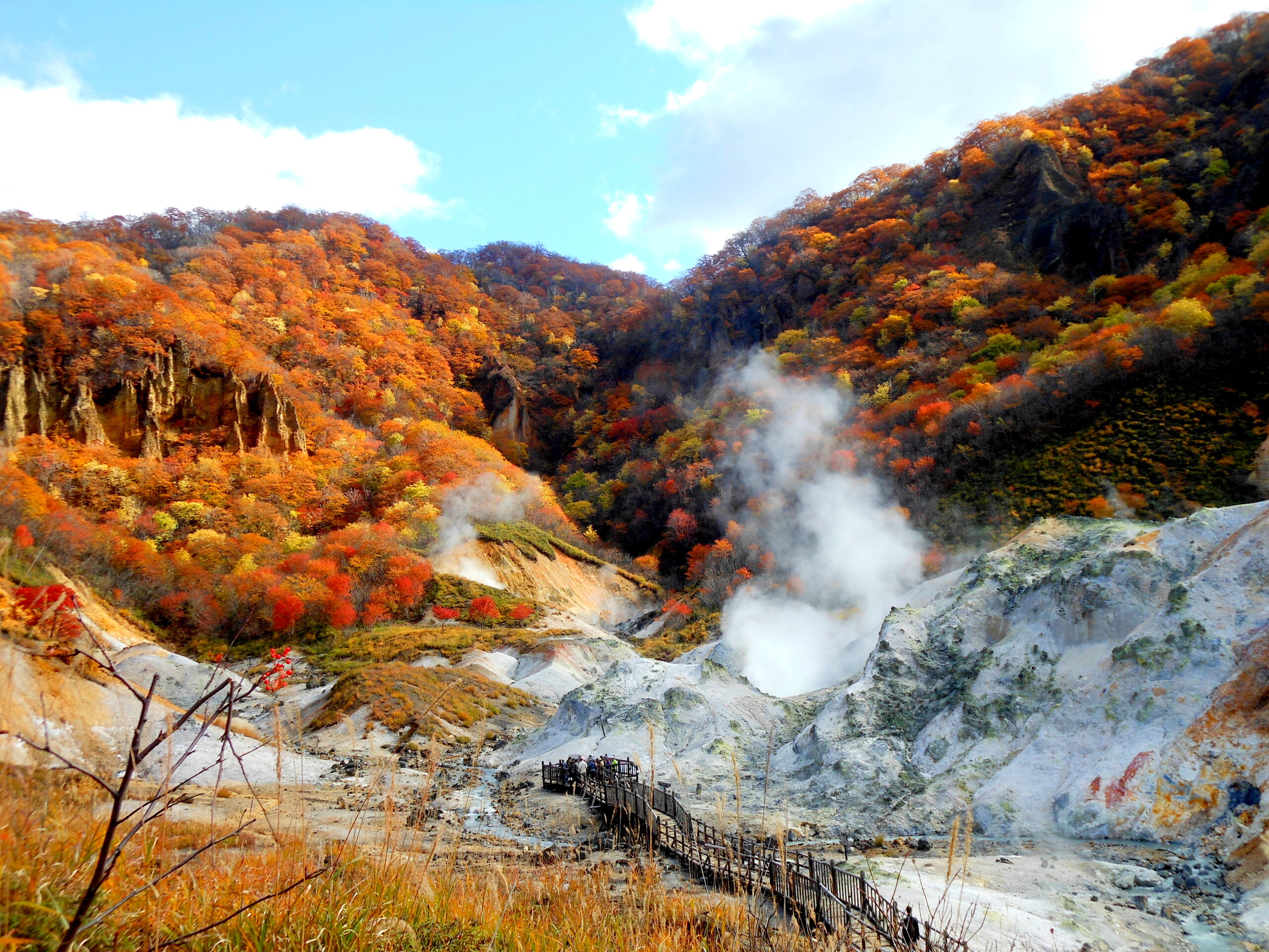 登別地獄谷 (14) (1)
