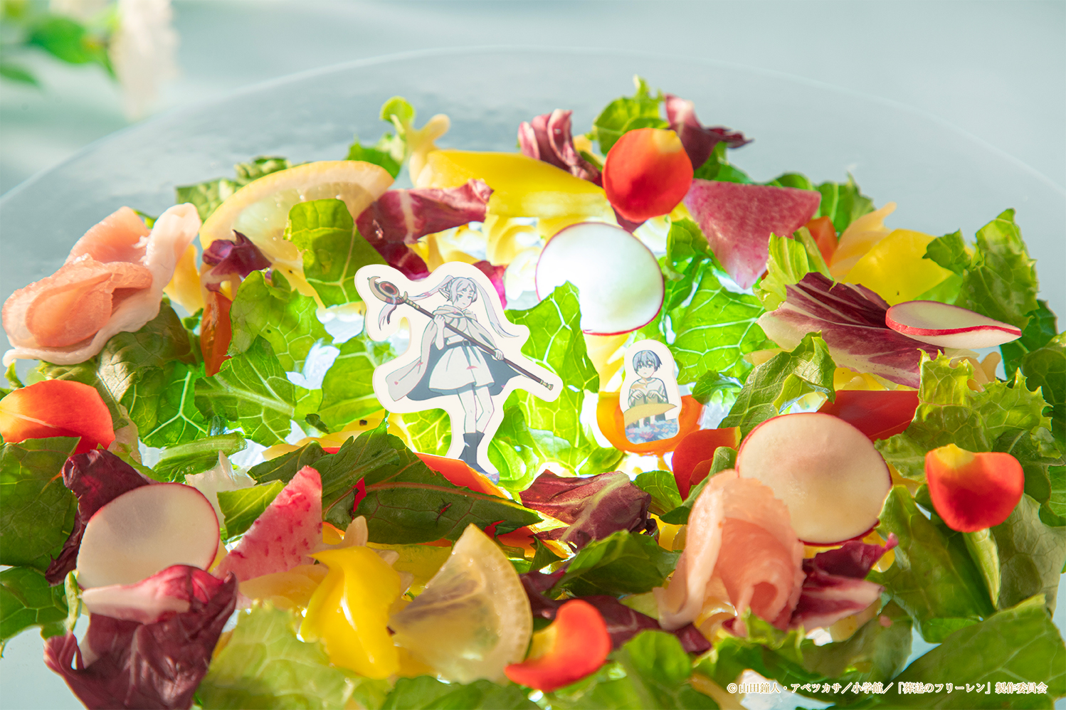 葬送のフリーレン コラボカフェ Flower Garden 招待状風カード TOKYO