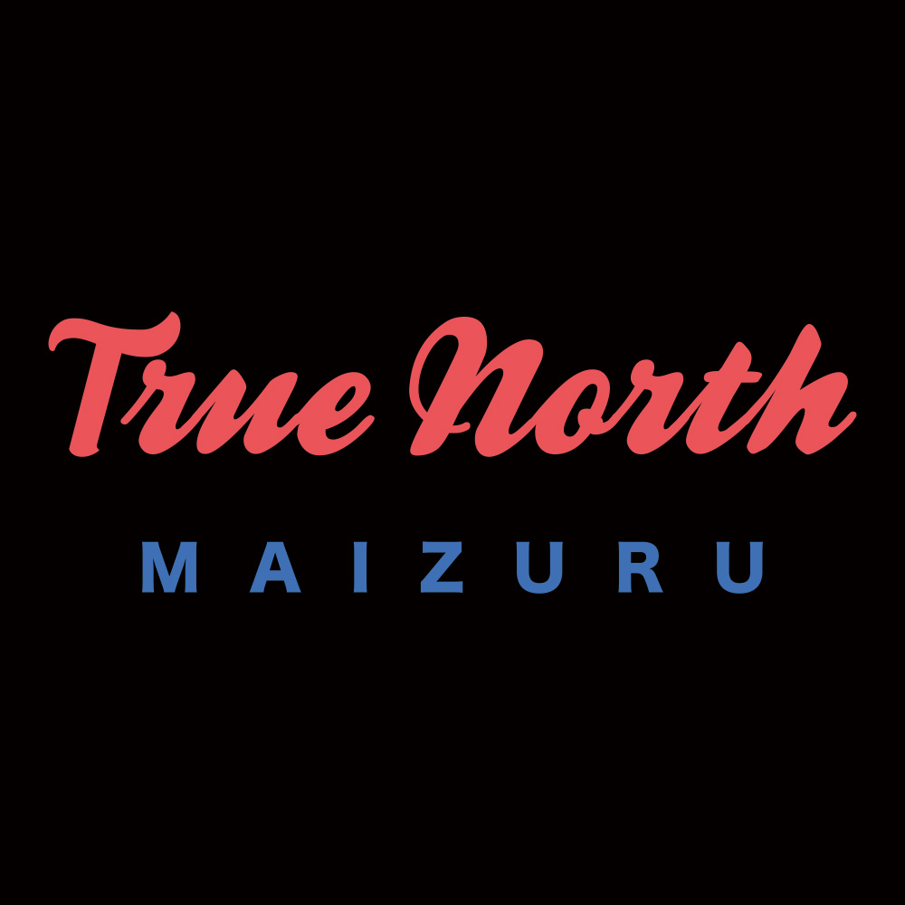 TRUE NORTH T-Shirts (Black)