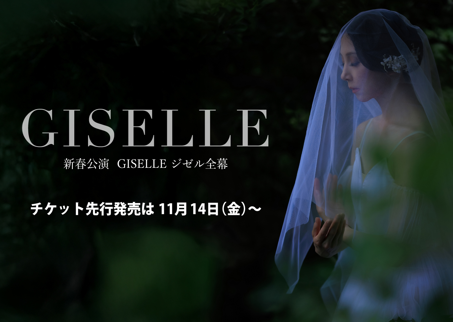 新春公演 GISELLE ジゼル全幕 先行販売 第1弾！ | 谷桃子バレエ団