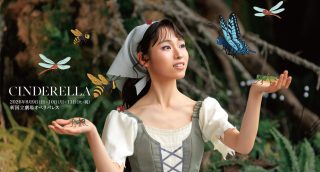 pickup_cinderella