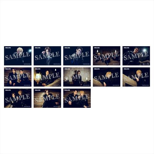 ランダムブロマイド